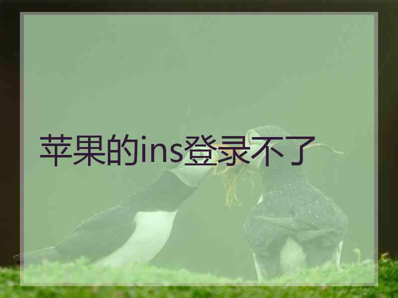 苹果的ins登录不了