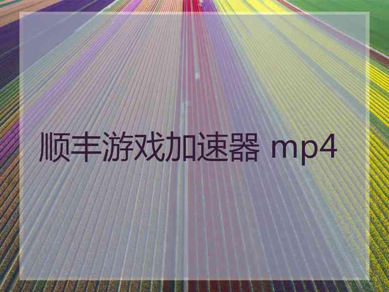 顺丰游戏加速器 mp4