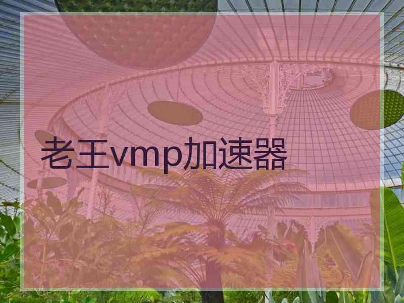 老王vmp加速器