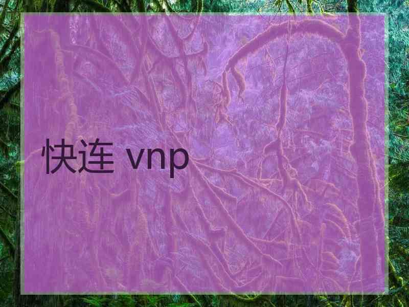 快连 vnp