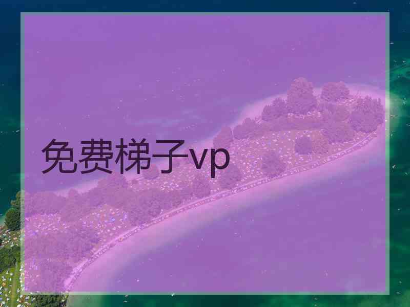 免费梯子vp