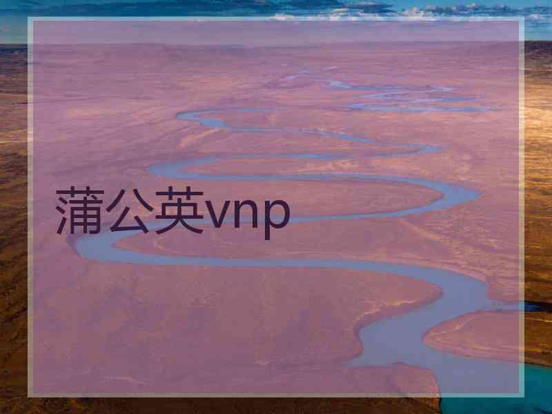 蒲公英vnp