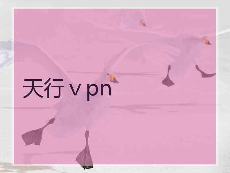 天行ⅴpn