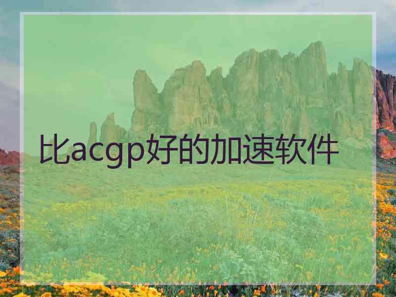 比acgp好的加速软件