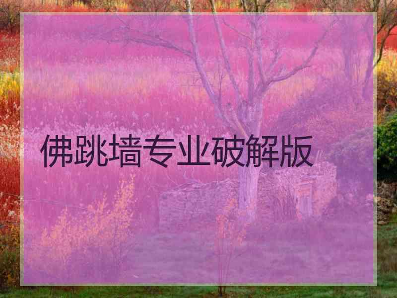 佛跳墙专业破解版