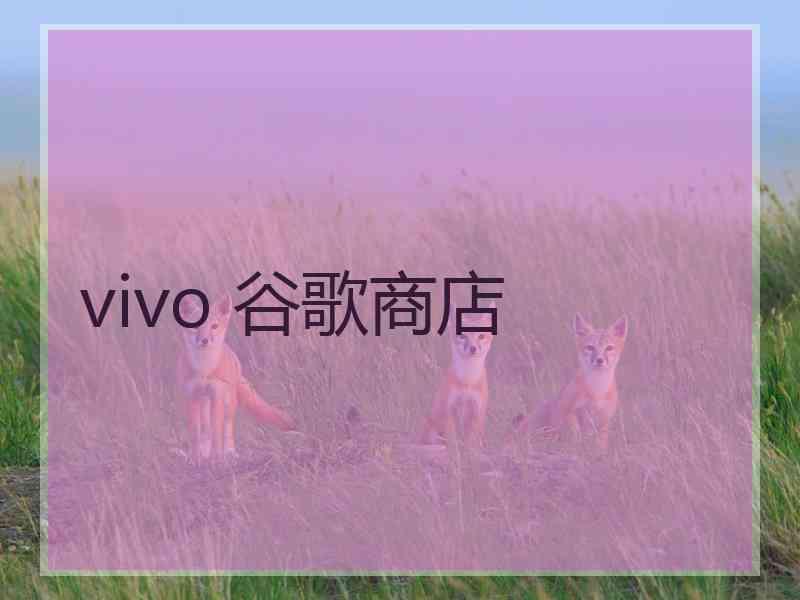 vivo 谷歌商店