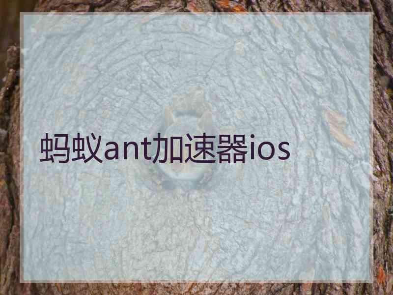 蚂蚁ant加速器ios