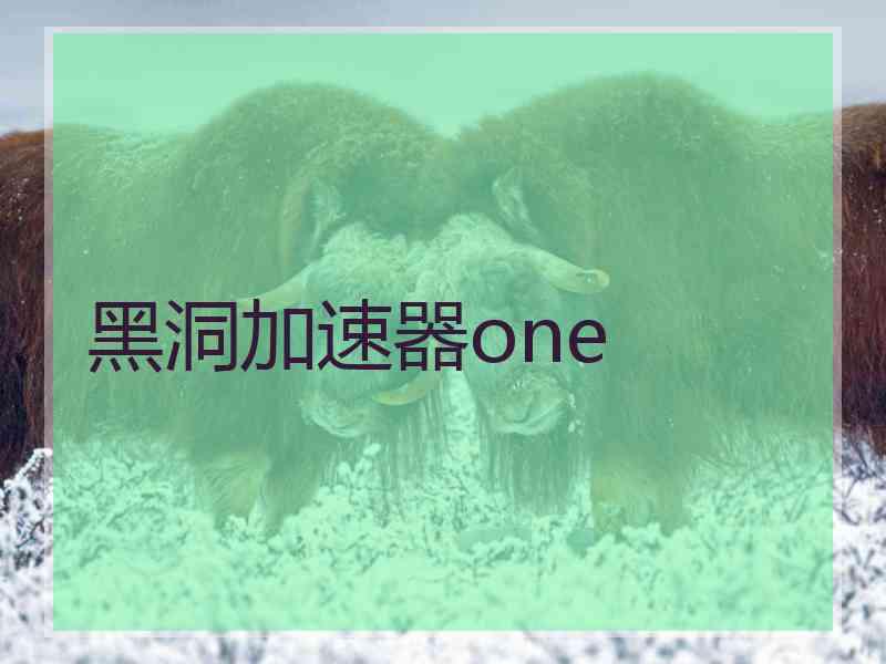 黑洞加速器one