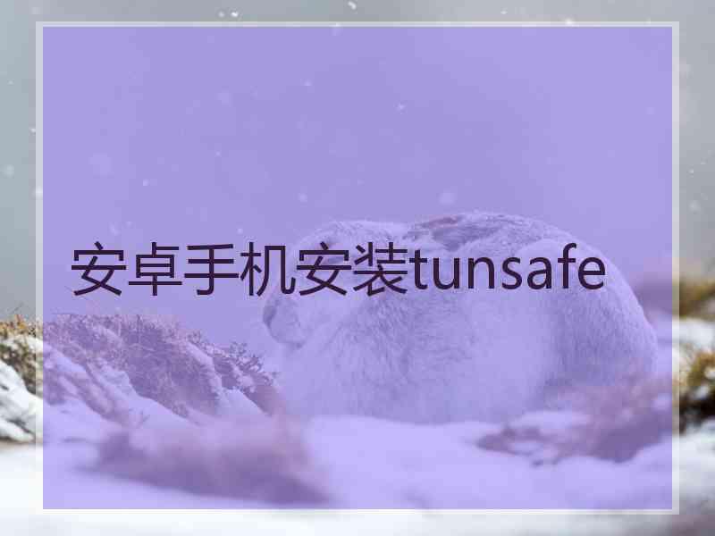 安卓手机安装tunsafe