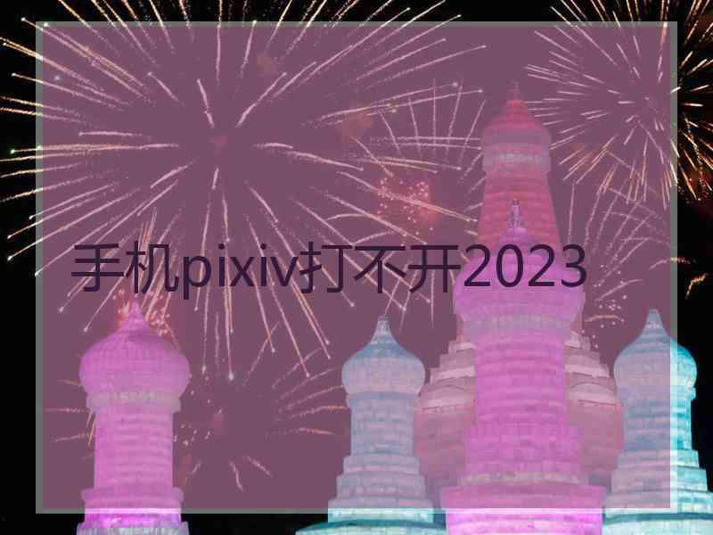 手机pixiv打不开2023