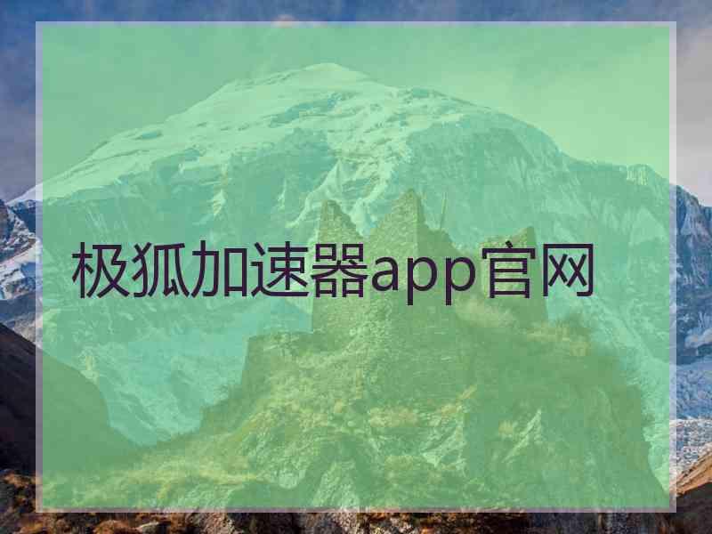 极狐加速器app官网