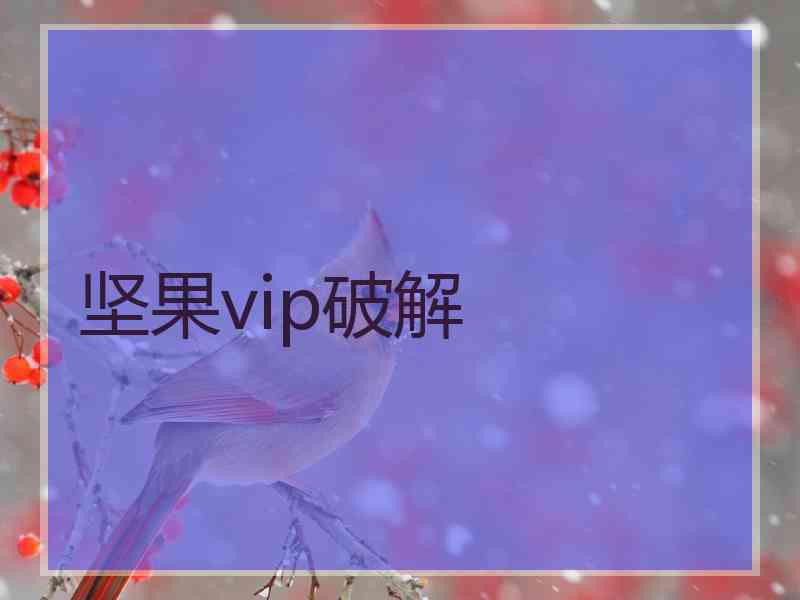 坚果vip破解