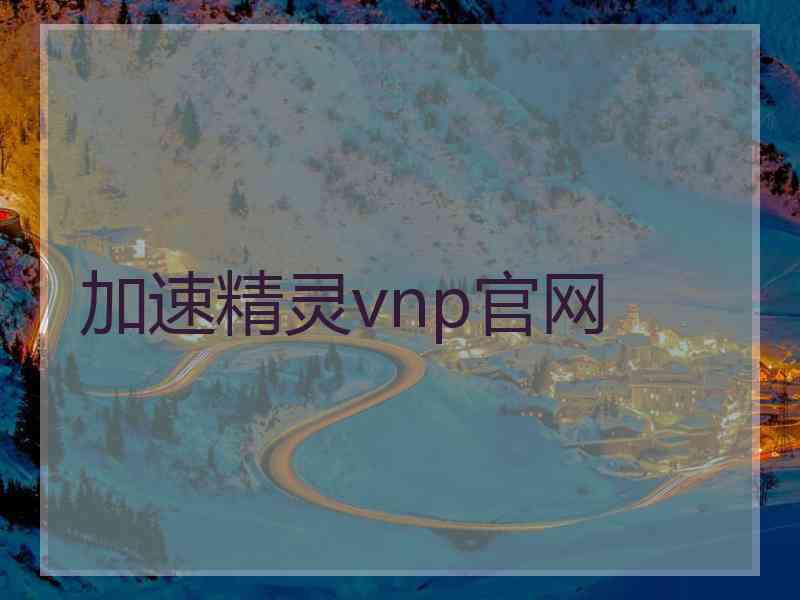 加速精灵vnp官网