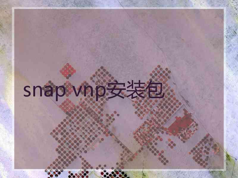 snap vnp安装包