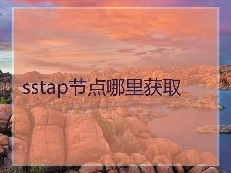 sstap节点哪里获取