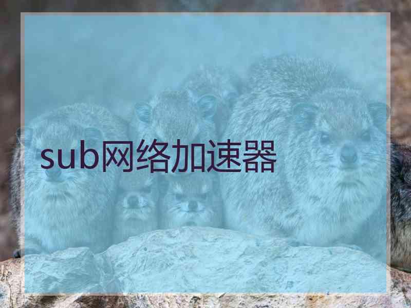 sub网络加速器