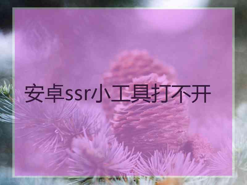 安卓ssr小工具打不开