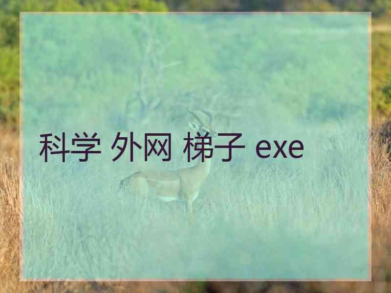 科学 外网 梯子 exe