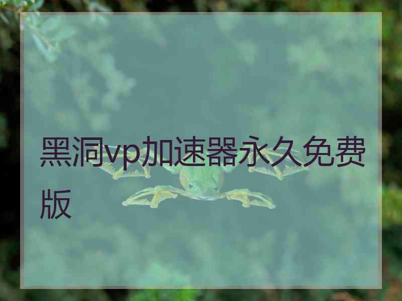 黑洞vp加速器永久免费版