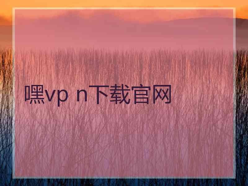 嘿vp n下载官网