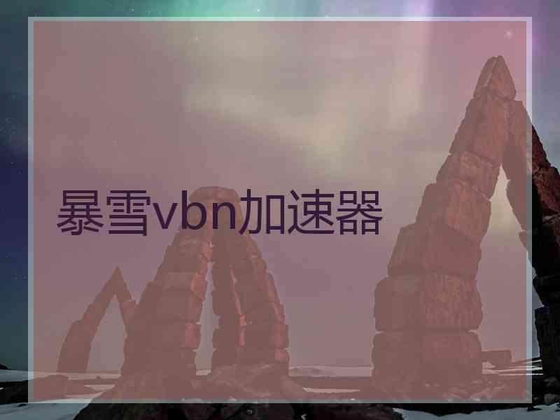 暴雪vbn加速器