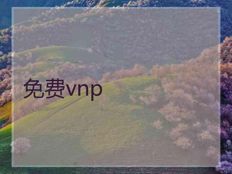 免费vnp