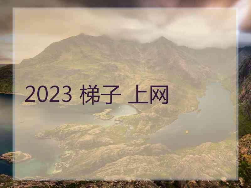 2023 梯子 上网