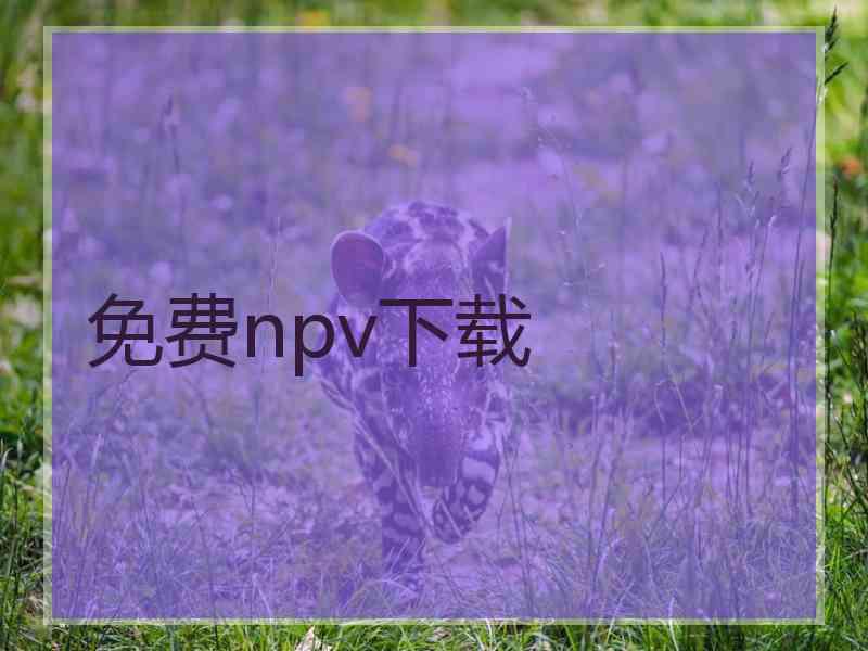 免费npv下载