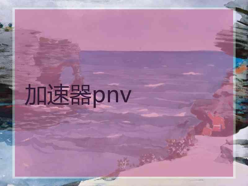 加速器pnv