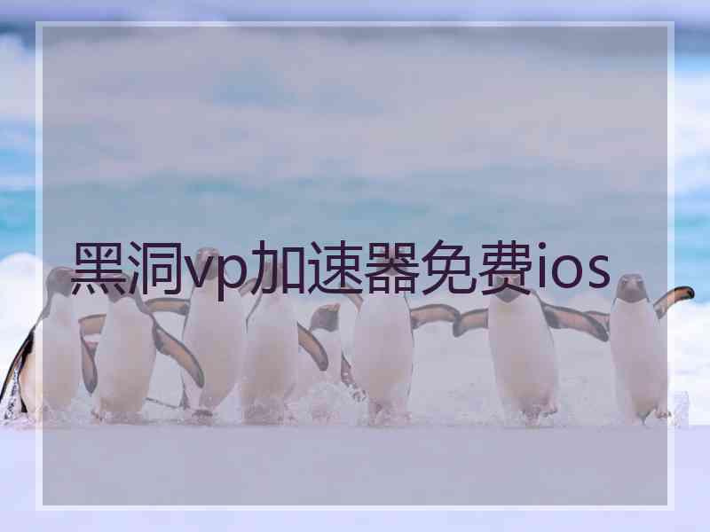 黑洞vp加速器免费ios