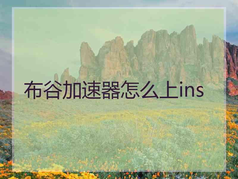 布谷加速器怎么上ins