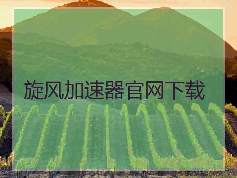 旋风加速器官网下载