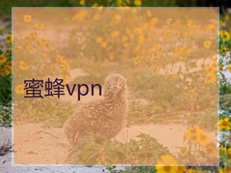 蜜蜂vpn