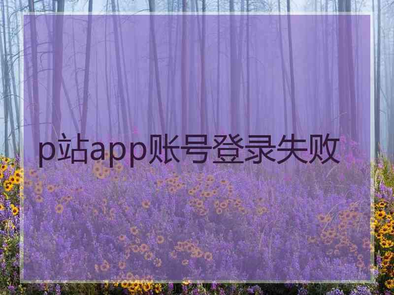 p站app账号登录失败