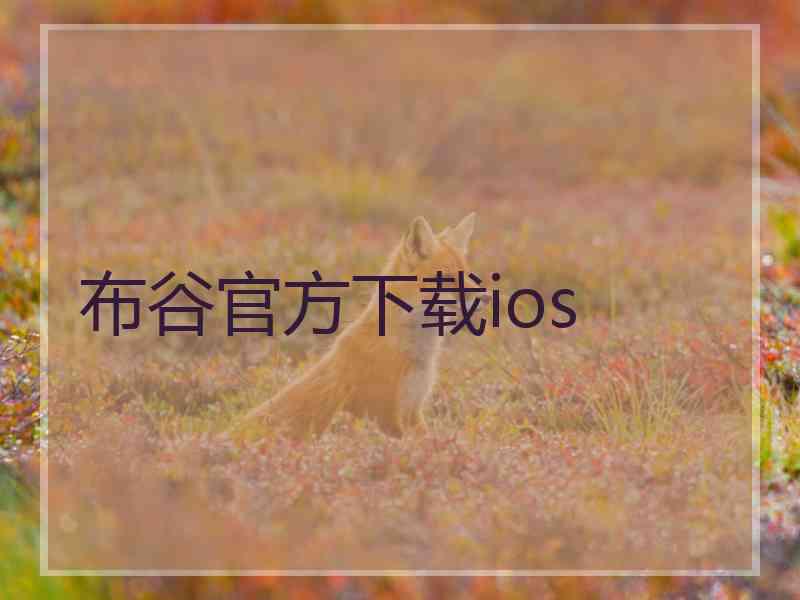 布谷官方下载ios