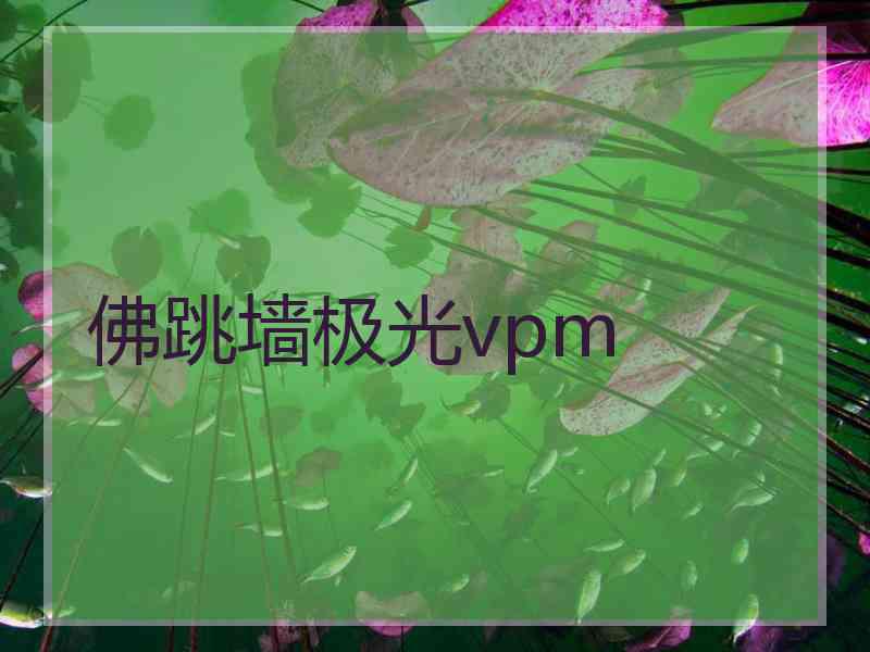 佛跳墙极光vpm