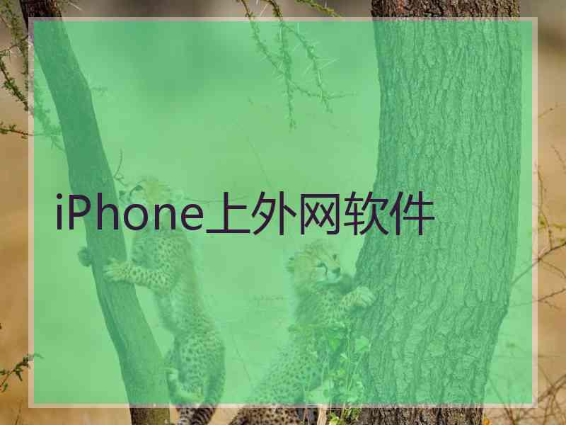 iPhone上外网软件