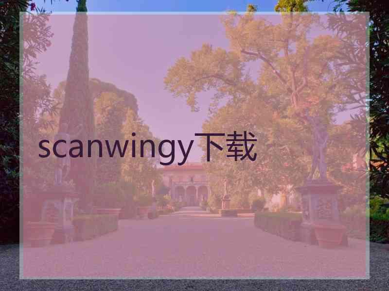 scanwingy下载