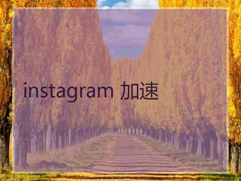 instagram 加速