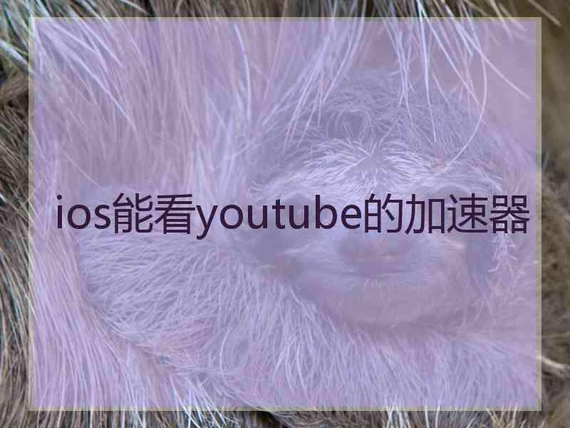 ios能看youtube的加速器