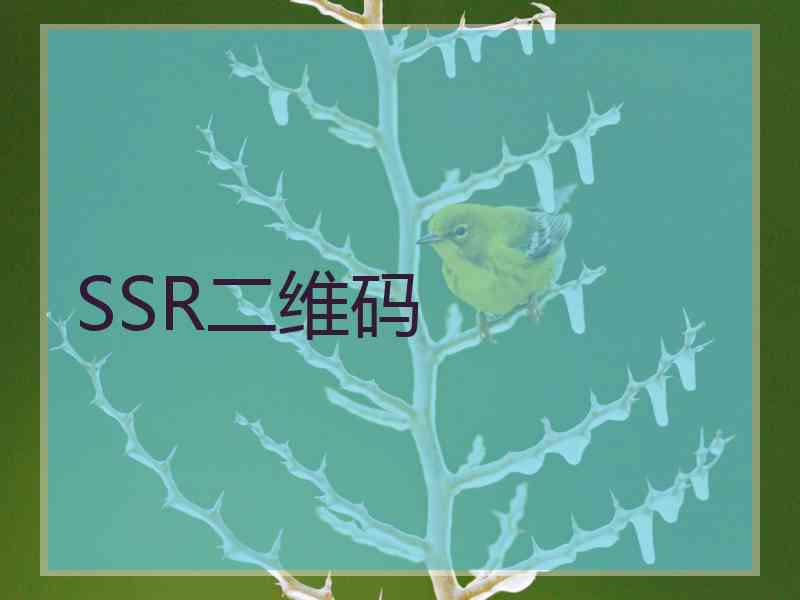 SSR二维码