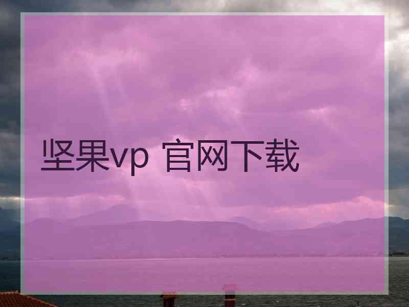 坚果vp 官网下载