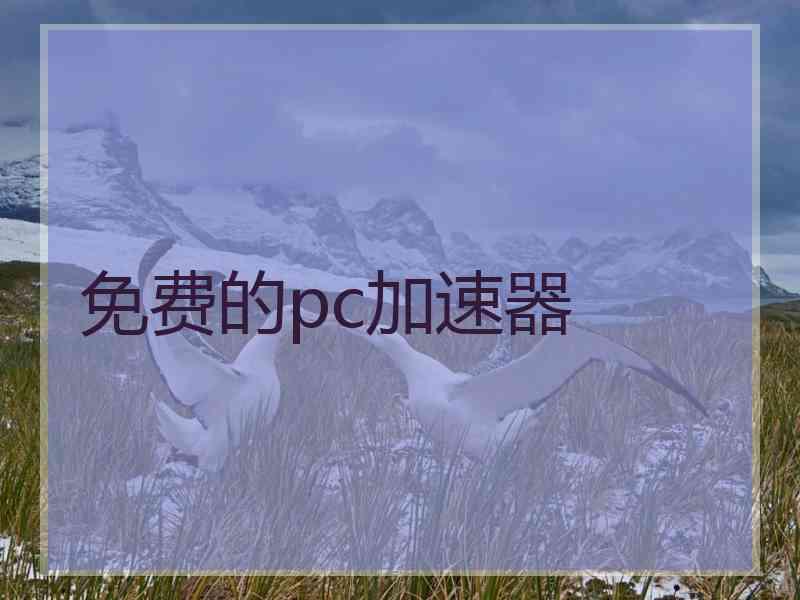 免费的pc加速器