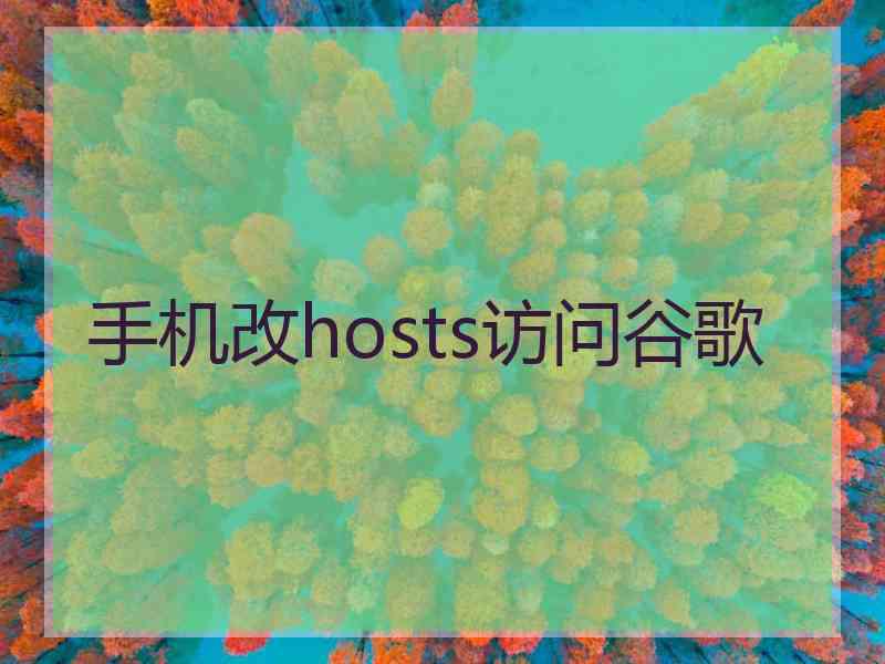 手机改hosts访问谷歌