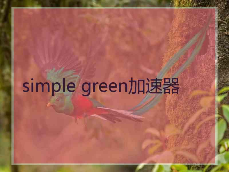 simple green加速器