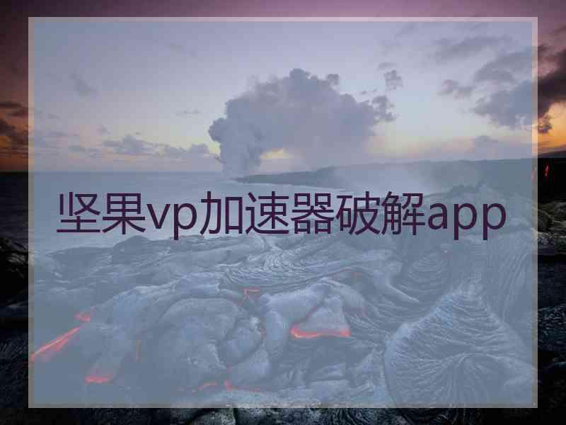 坚果vp加速器破解app