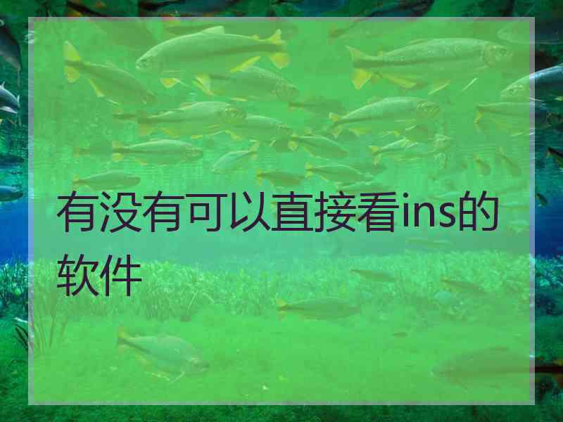 有没有可以直接看ins的软件