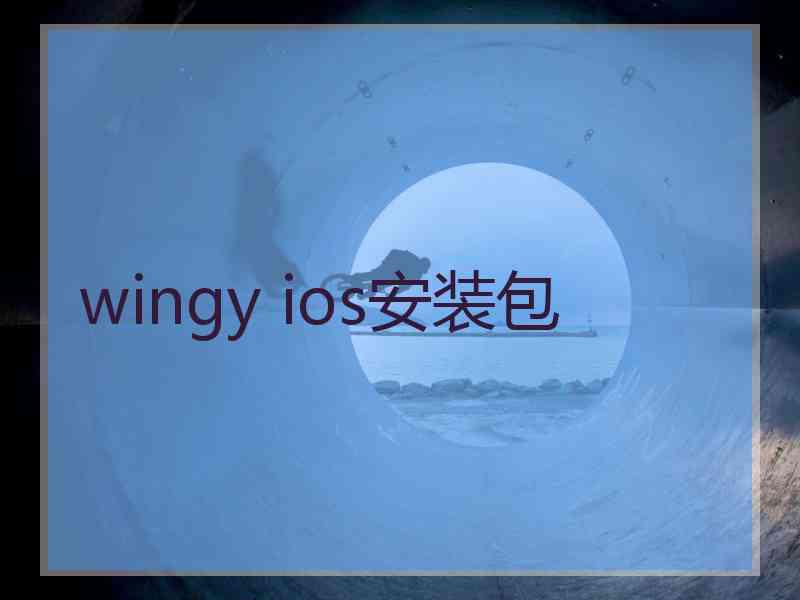 wingy ios安装包