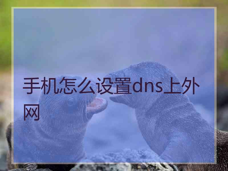 手机怎么设置dns上外网