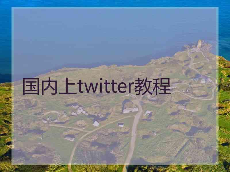 国内上twitter教程